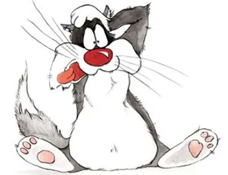 kastraciya kota na domu v ekaterinburge 1500 vsyo vklyucheno