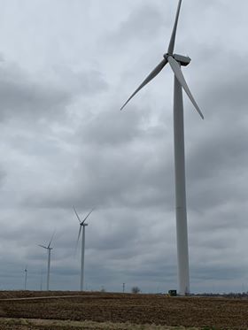 Windmills4