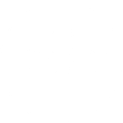 Naturally Network logo
