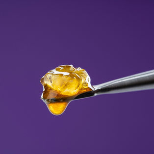 Live Hash Rosin: Unveiling the Terpene-Rich World of Solventless Concentrates