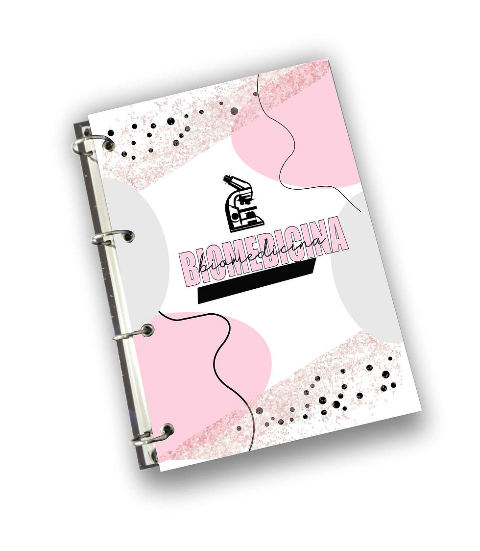 caderno argolado 