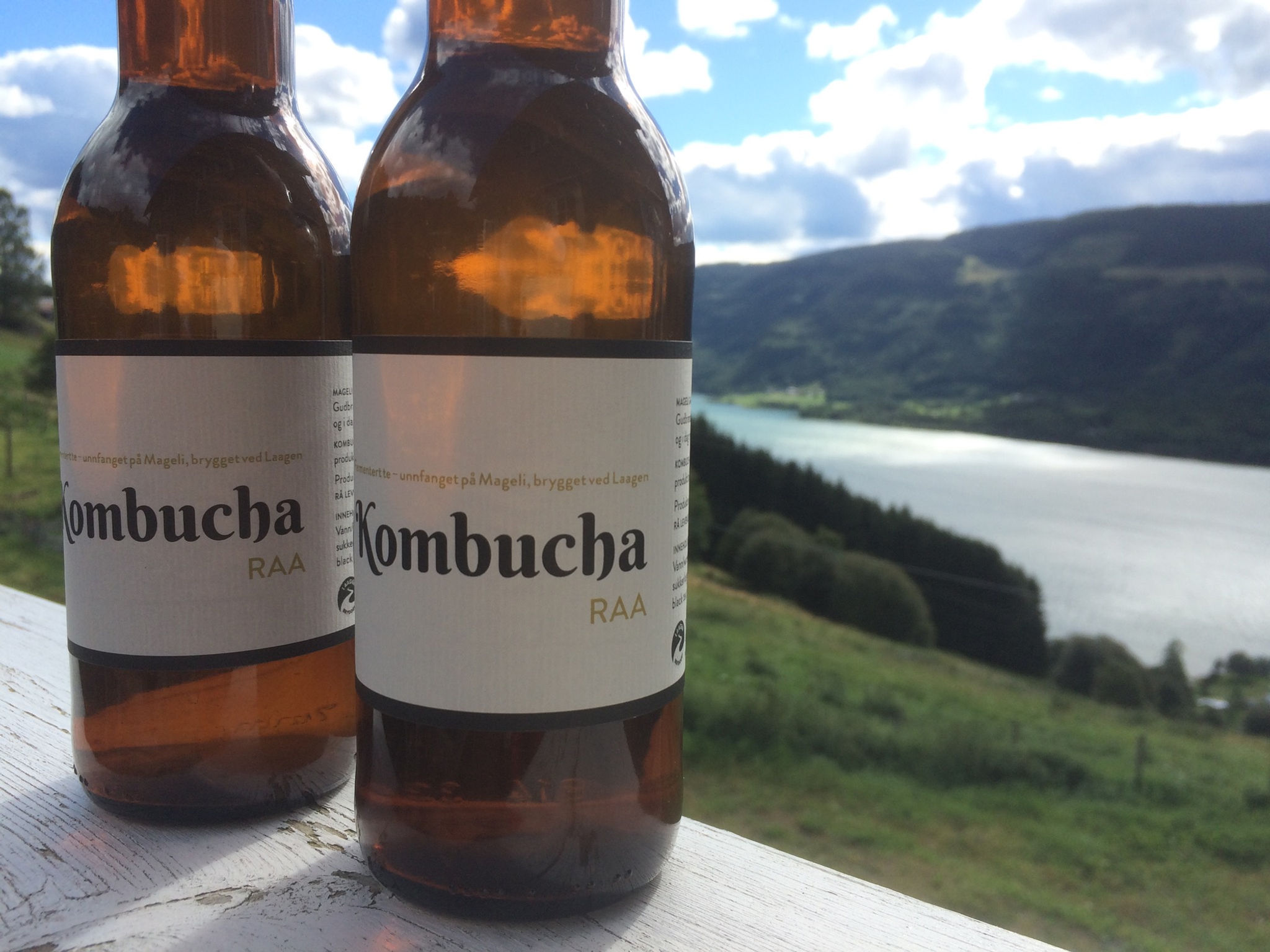 Kombucha Humle, Alkoholfri
