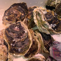 Japanese frozen seafood and fish export