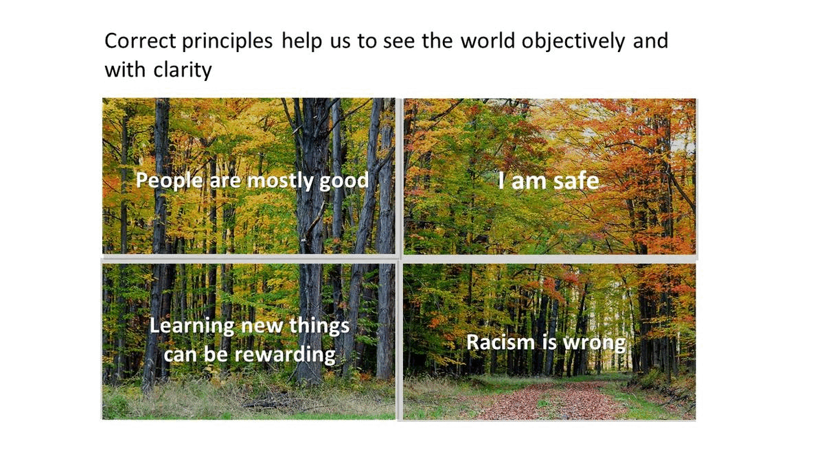 Reality Model