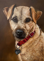 Oil painting of a Border Terrier pet portrait, 'Poppy'