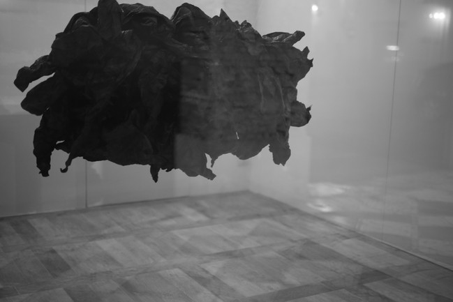 VK0A8243.JPG