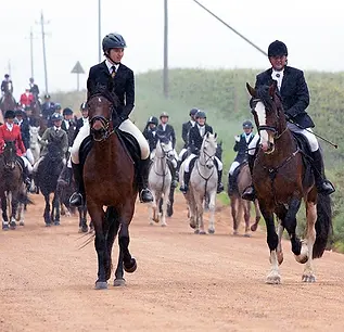 Horseback Tour for Experienced Riders.webp