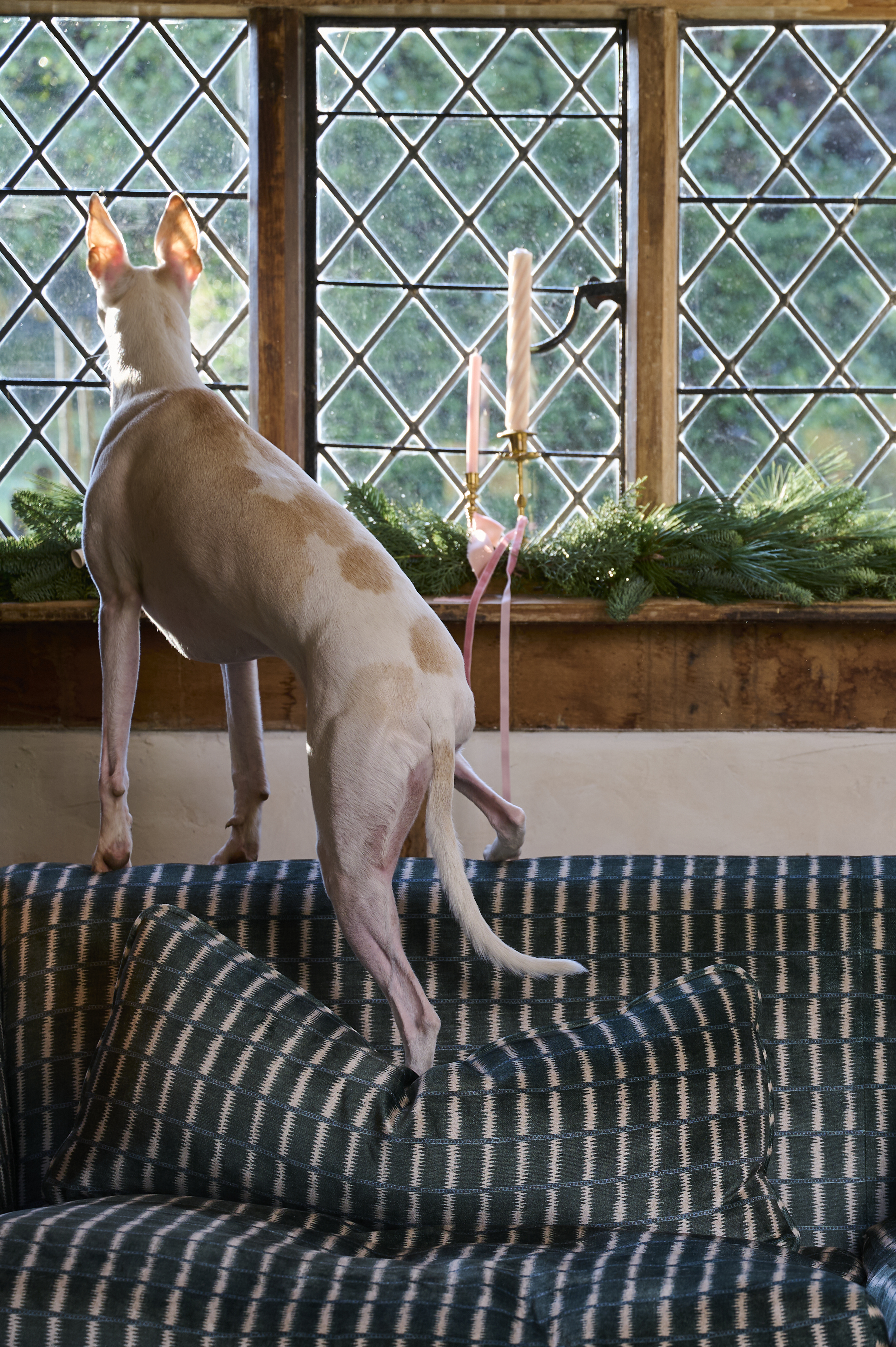 S&S_Milli Proust_©SarahWeal_0200.jpg