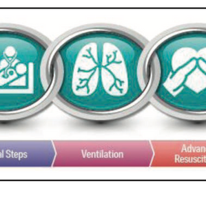 2025 American Heart Association (AHA) & American Academy of Pediatrics (AAP) Neonatal Resuscitation Guidelines