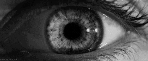 70C370F5-DF55-4E93-AF39-315D8D4707C3.GIF