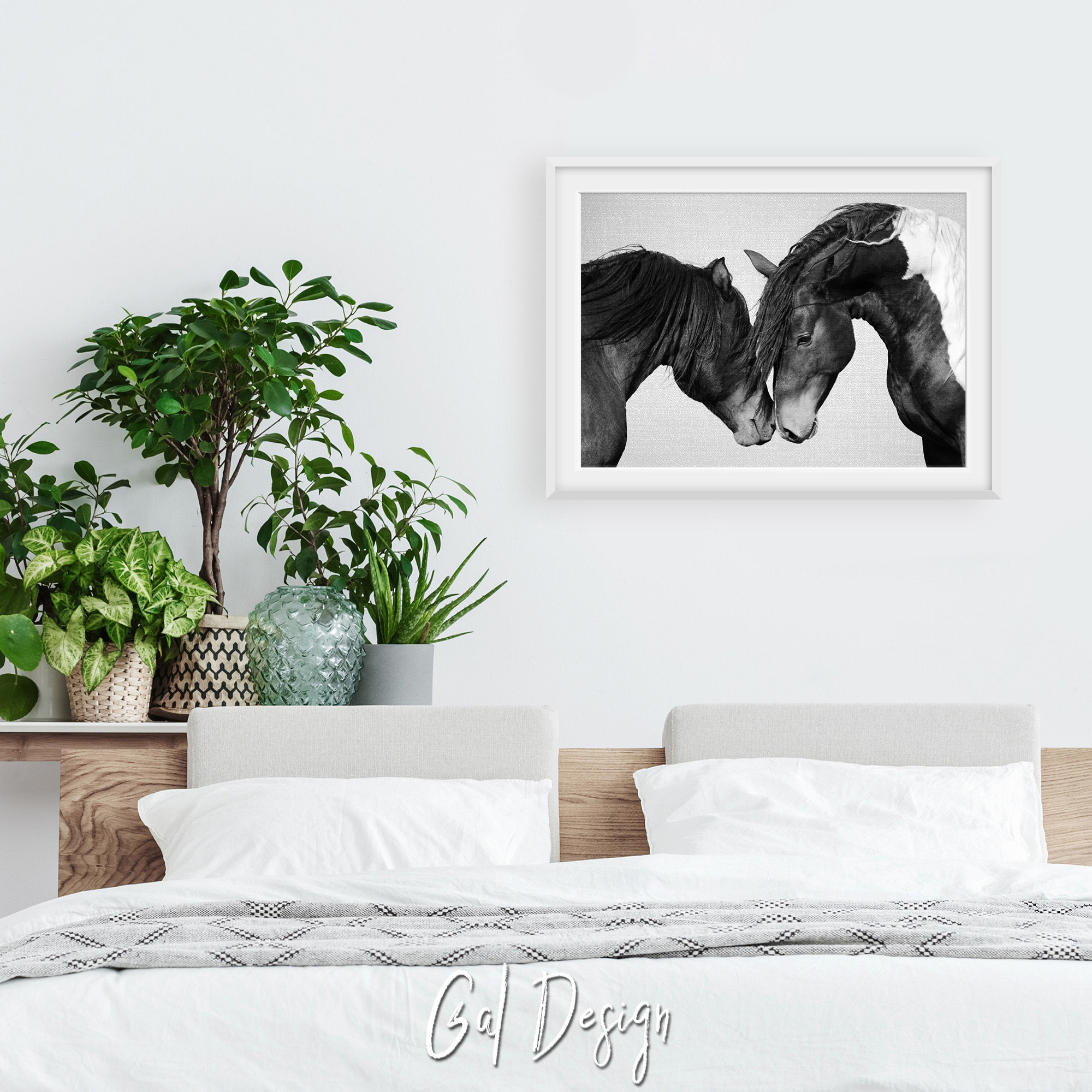 Black and white horse photography symbolizing connection
