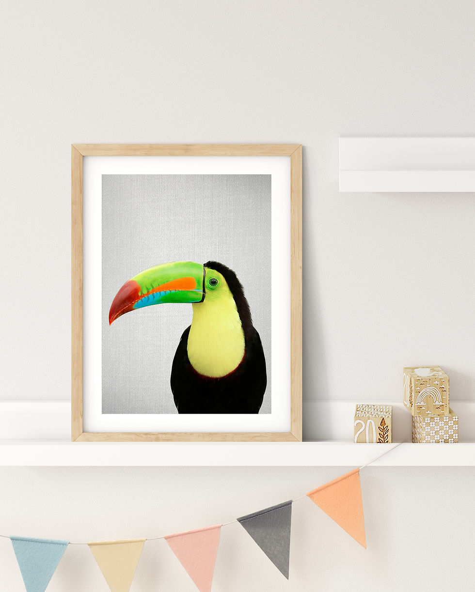 Exotic toucan art print perfect for jungle-themed decor in kids' rooms.