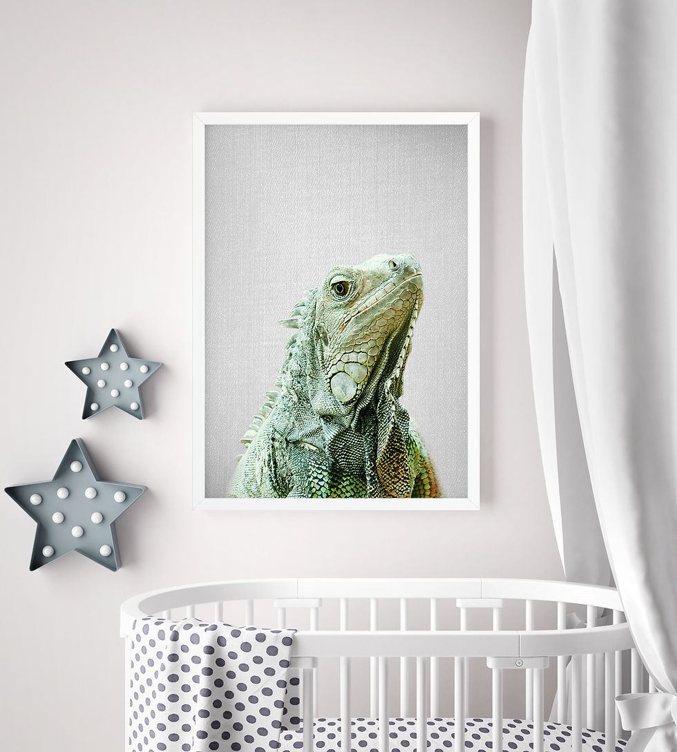 Cute Iguana wall art, ideal for kids' rooms and animal-themed decor.