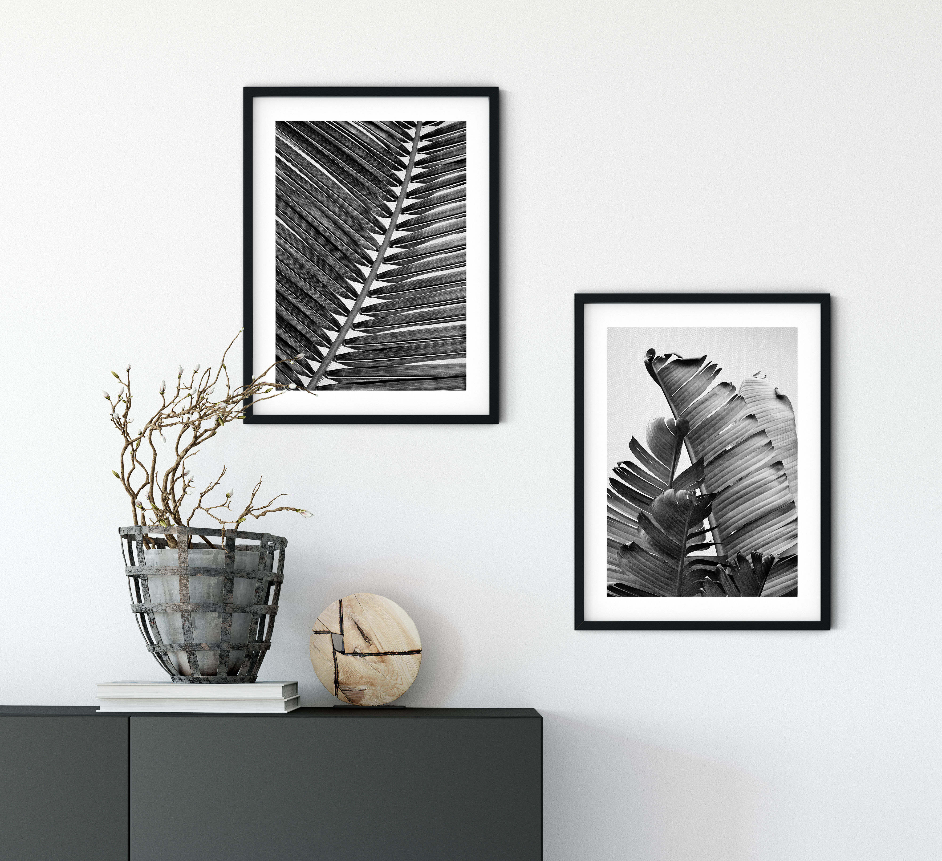Dramatic black and white tropical foliage