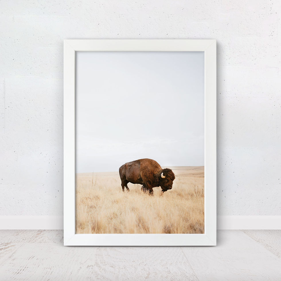 Rustic bison art print with prairie landscape wall decor