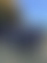 Riding with the Pale Horse: A New Force in Medieval Combat