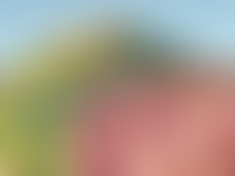 BI World Championships Update #2