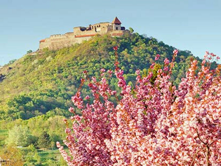 BI World Championships Update #2