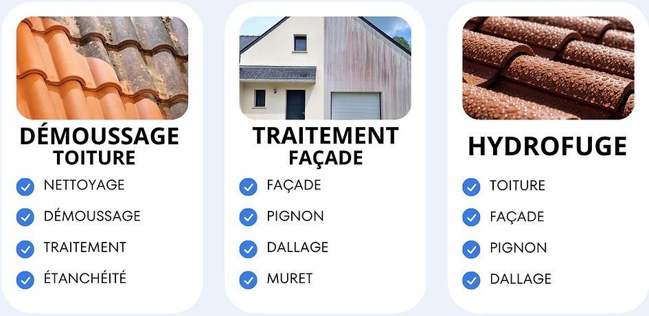 NETTOYAGE DE TOITURE