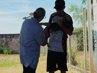 Vacinação antirrábica para cães e gatos ocorre em 10 de julho em Sumaré