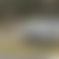Motociclista morre após ser atingida por motorista embriagada na Anhanguera, em Sumaré