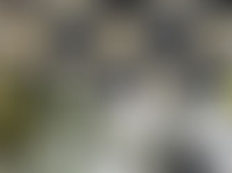 Dise de Americana prende homem e apreende 26 pés de maconha em Sumaré