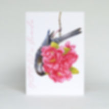 Wattle Bird Greeting Card