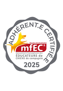 Macaron MFEC 2025 (3).png