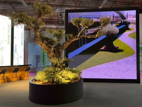 Exhibition stand built around a 200 year old olive tree serving as the natural centerpiece.