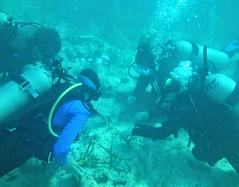 Planting Coral in Key Largo.JPG