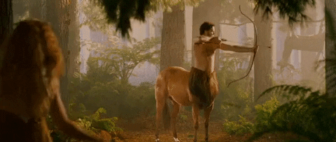giphy (1).gif