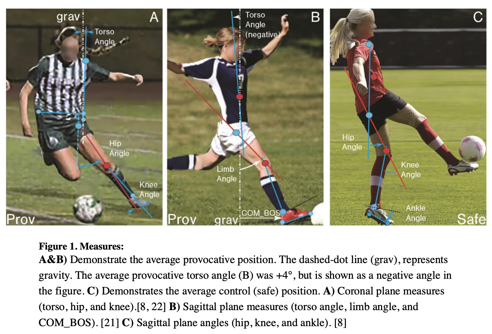 Image demonstrates the average provocative position of the torso.