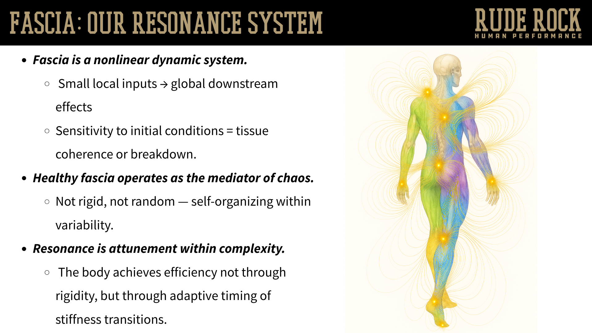 A slide breaking down fascia as a resonance system.