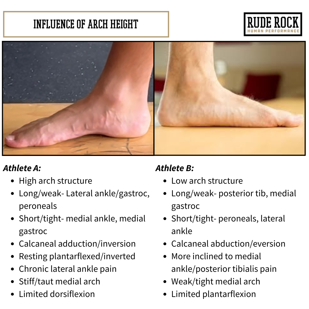 Comparison of arch height influence