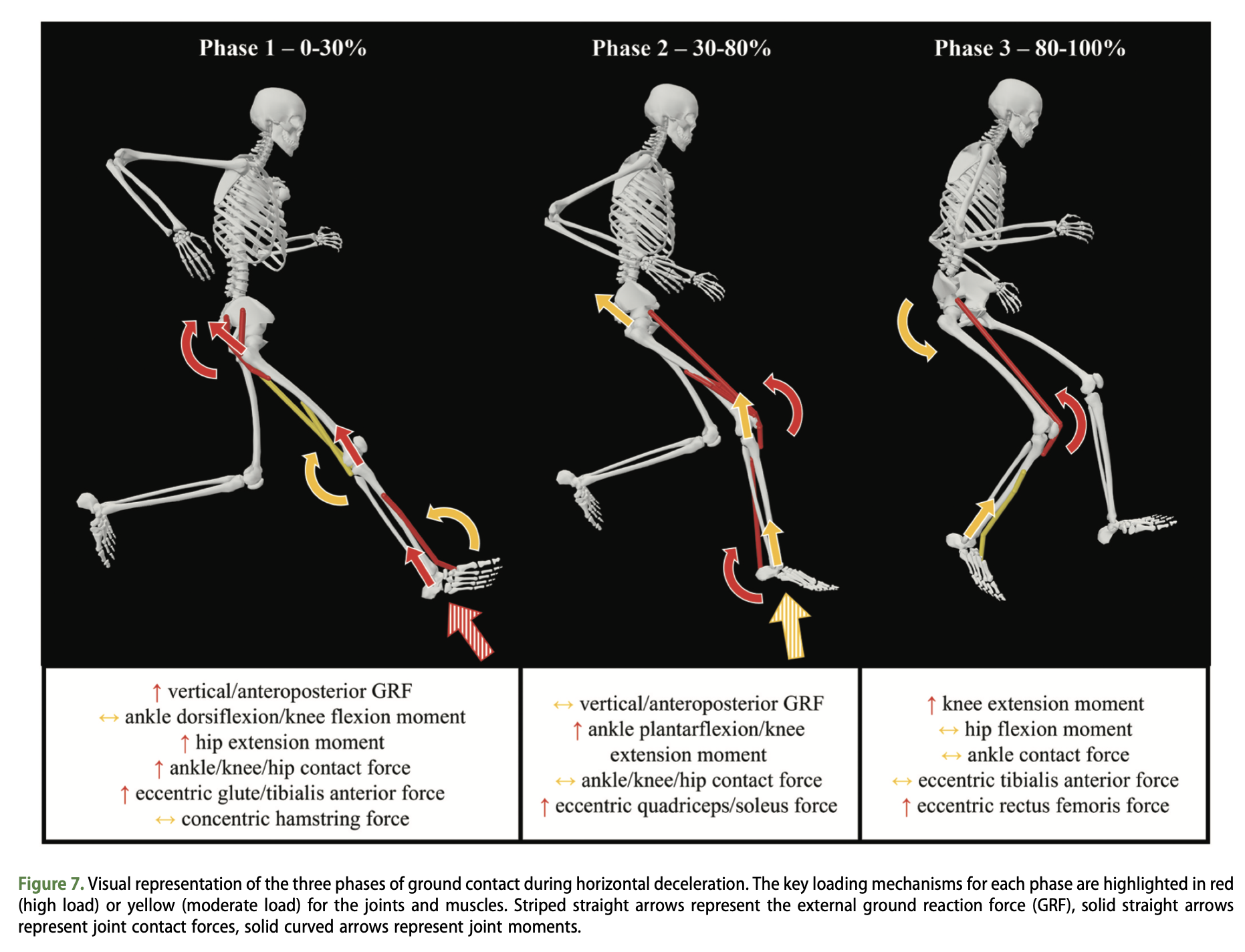 Visual representation of the three phases of ground contact during horizontal deceleration.