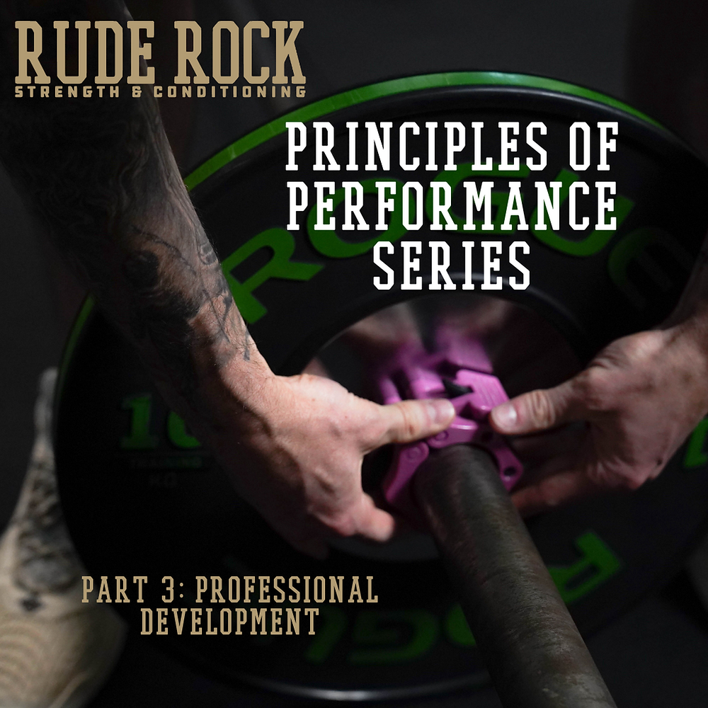 Principles of Performance Series Part 3: Professional Development