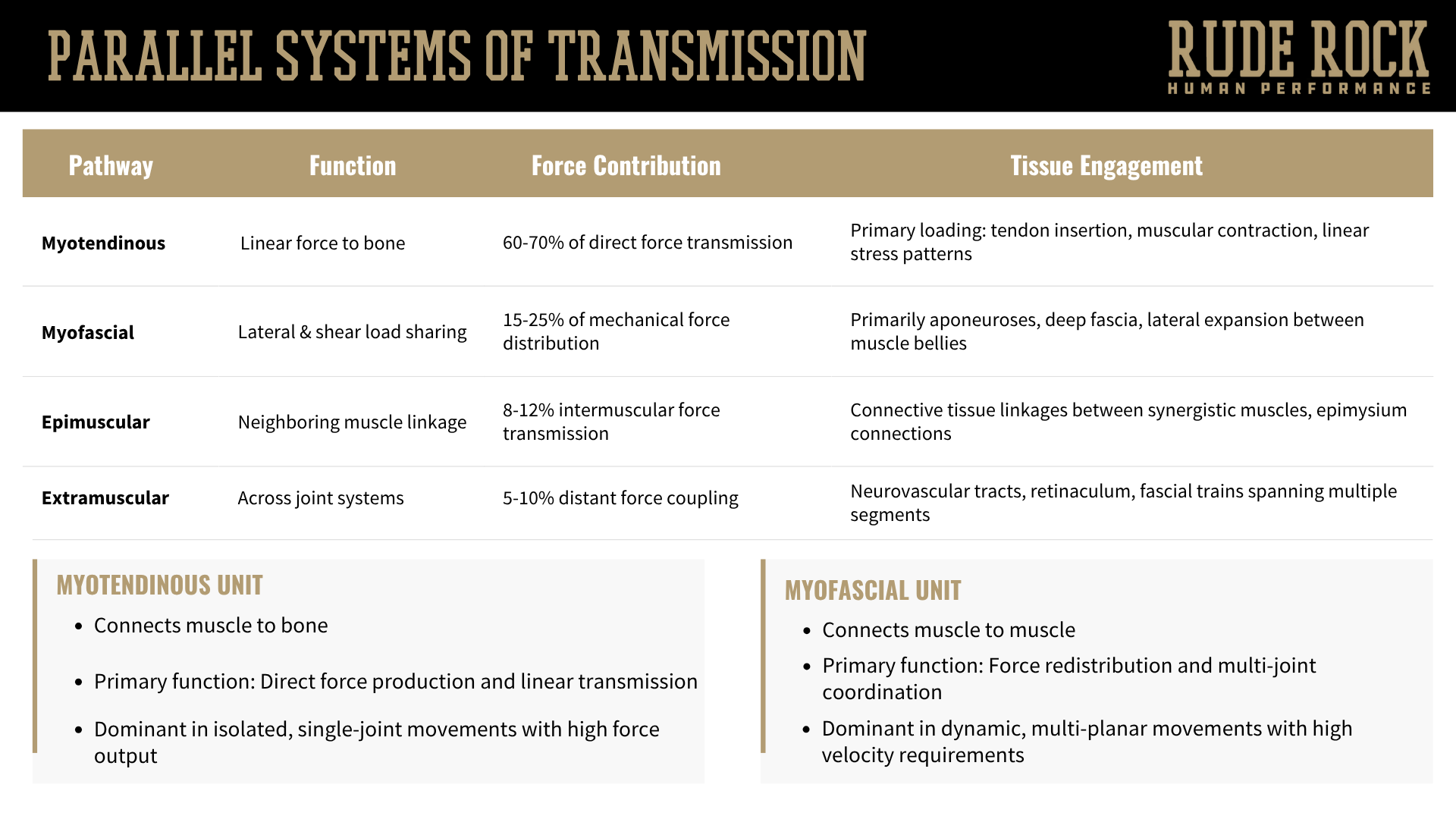 A slide breaking down the parallels between myotendinous and myofascial units.