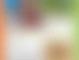 Un projet pour Réo - Newsletter de Septembre