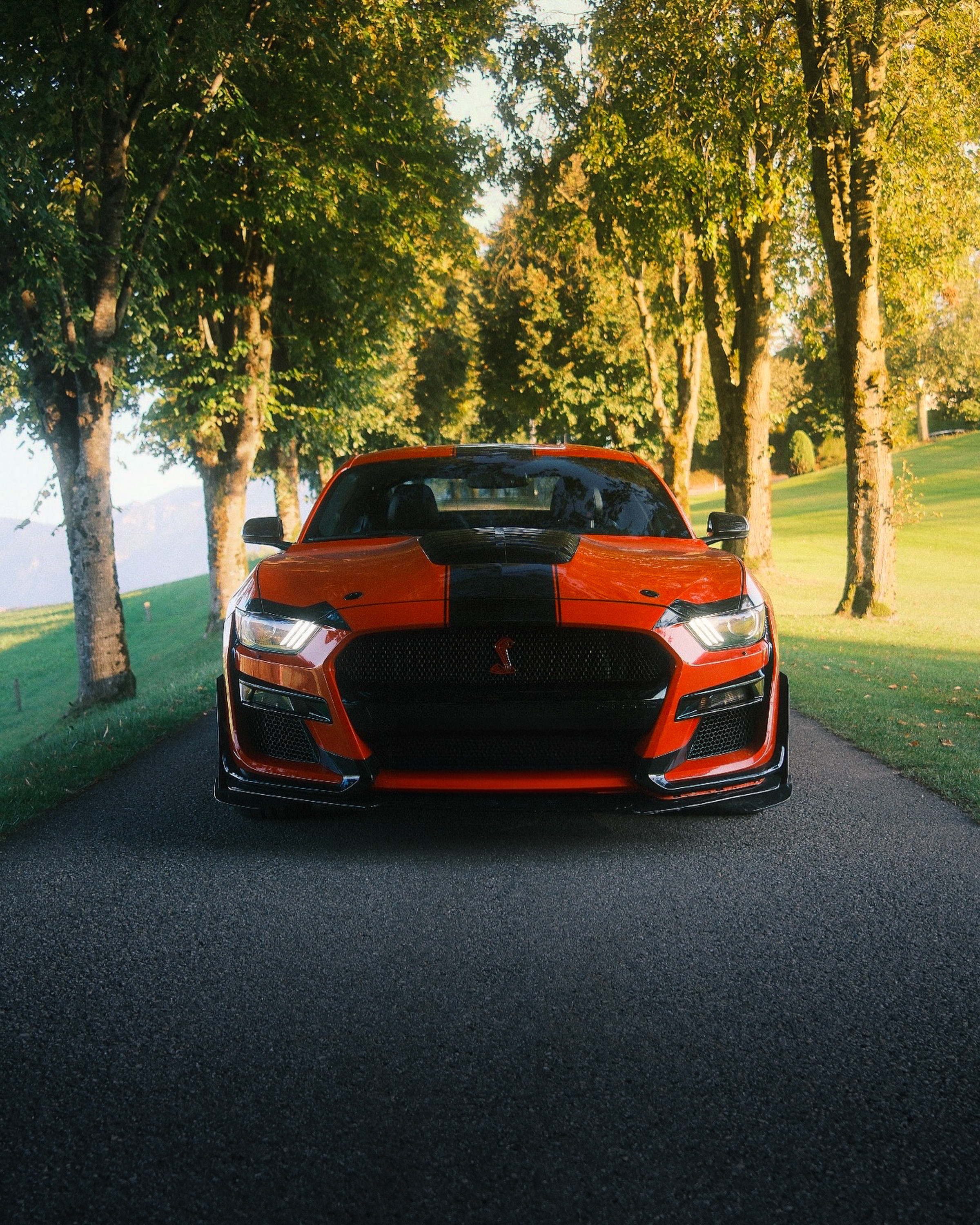 Ford Mustang Shelby
