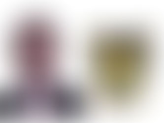 CONSELHO DA ORDEM DO MÉRITO DO ELO SOCIAL LIBERA USO POLÍTICO DOS PROJETOS DO ELO SOCIAL