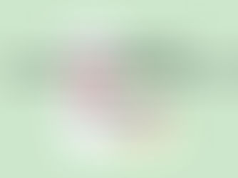 Município de Colombo - PR recebe apresentação do Projeto "Lixo Zero, Social 10"