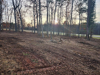 Brush Clearing