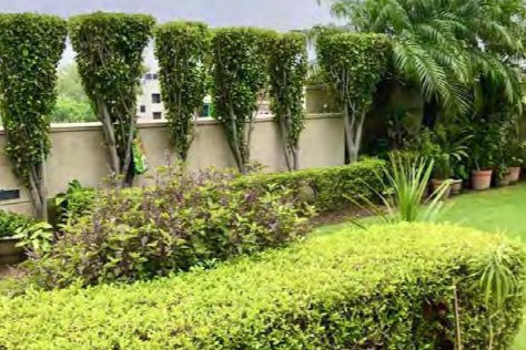 Vasant Vihar real estate residential locality in South Delhi