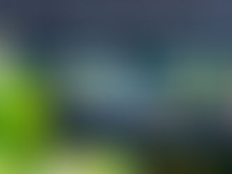 Informationsabend und Tag der offenen Tür 2025