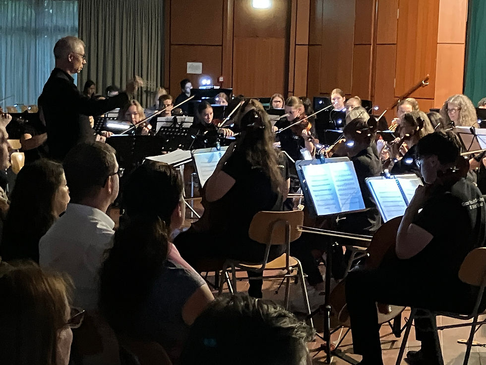 Theater-Konzert zum Thema Demokratie und Menschenrechte -  Gäste aus Malta und Aachen musizieren gemeinsam mit dem Eurode Jugendorchester Herzogenrath an unserer Schule