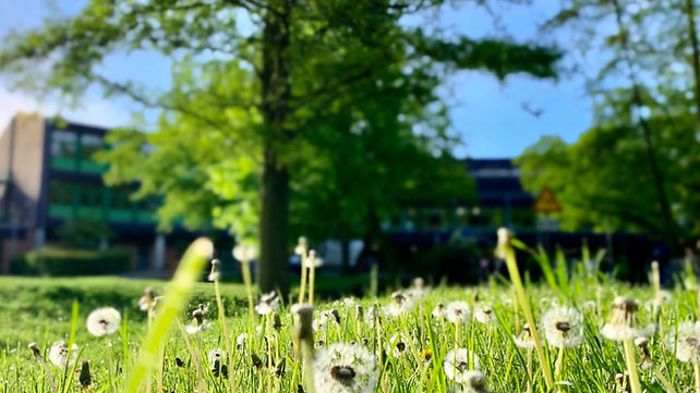 Kopie von Schule Aussen 5_edited.jpg