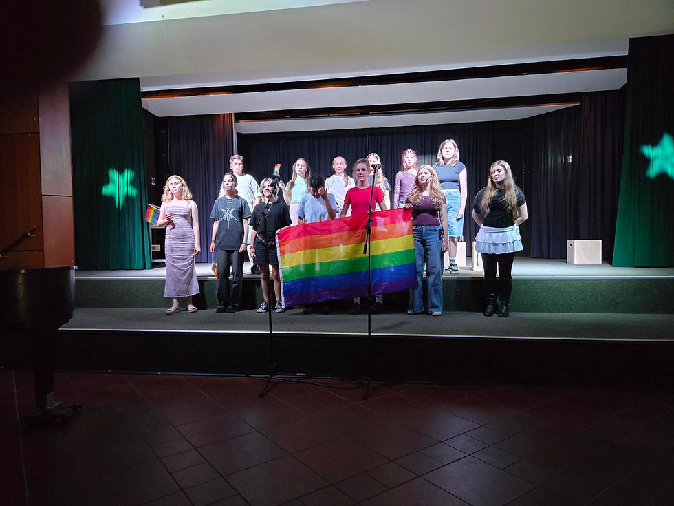 Du bist ok so wie Du bist! –zur Musicalaufführung der Stagevibes letzten Samstag in der Aula