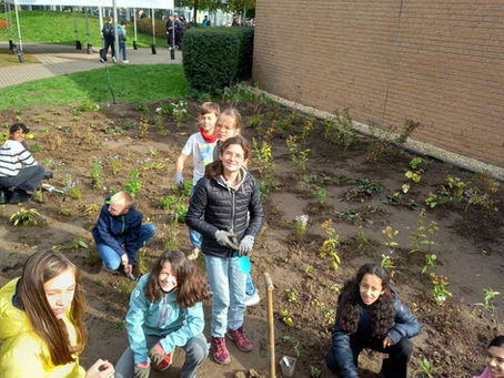 Ich bin Leben, das leben will – Frühling am Schulzentrum Herzogenrath