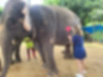 Elephant Painting Activity