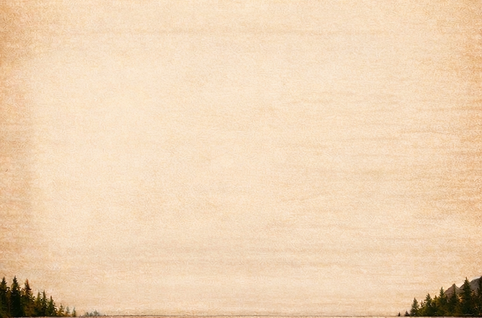 Section Background with trees.png